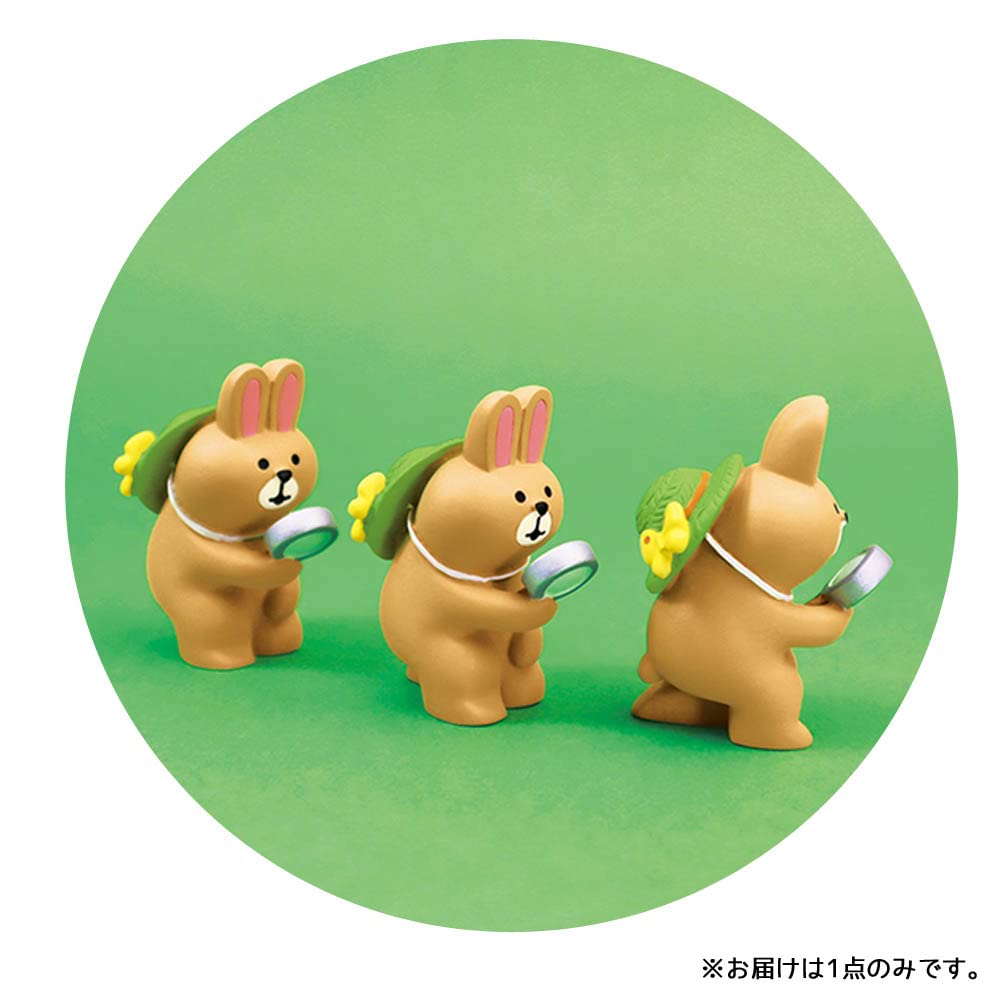 Amazon.co.jp: DECOLE デコレ concombre コンコンブル 自然観察うさぎ